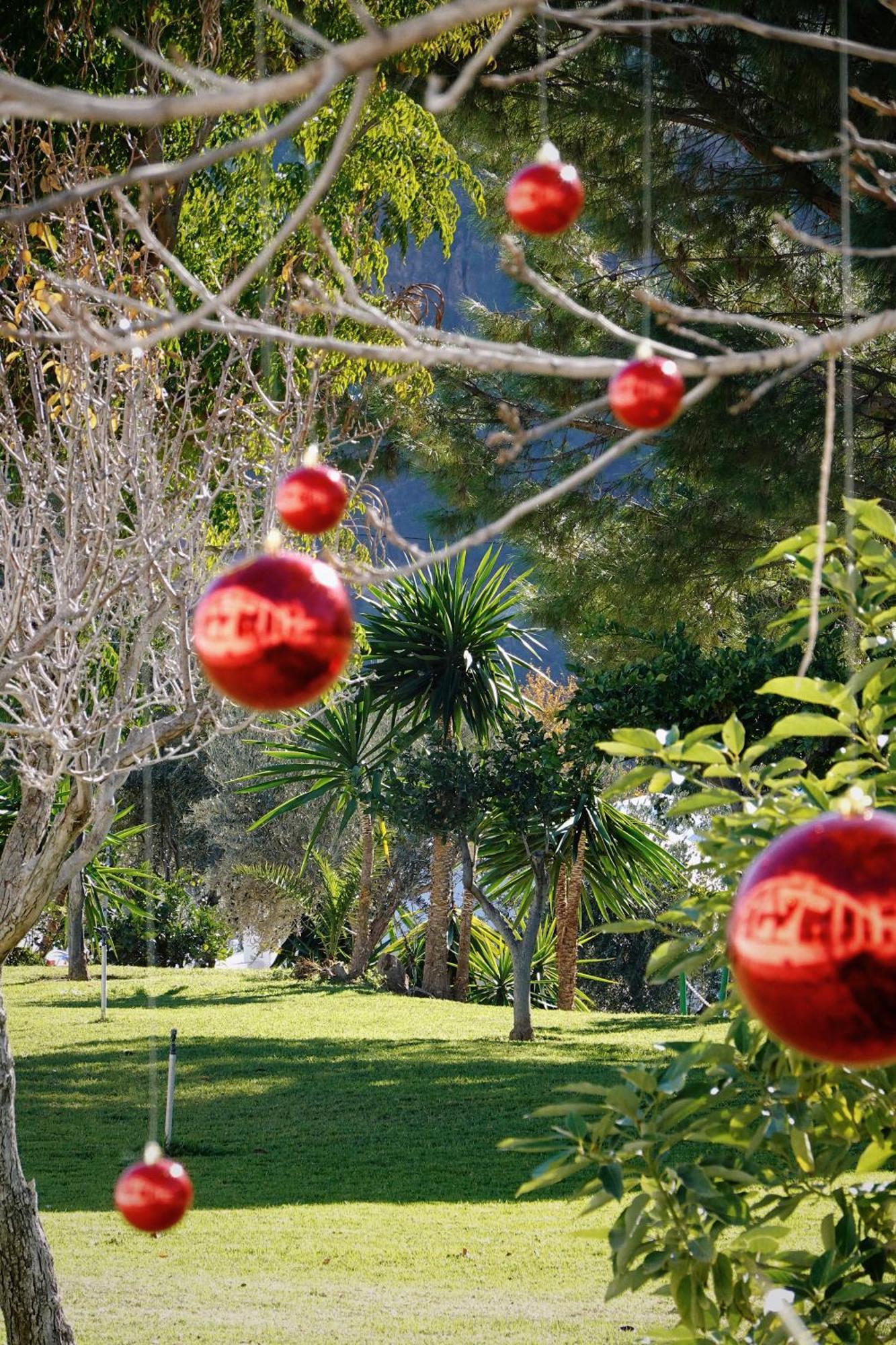 Hotel Taray Botanico Orgiva Exteriér fotografie